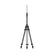 DJI D-RTK 3 Survey Pole and Tripod Kit