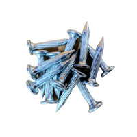 PK Type Survey Nails image 0
